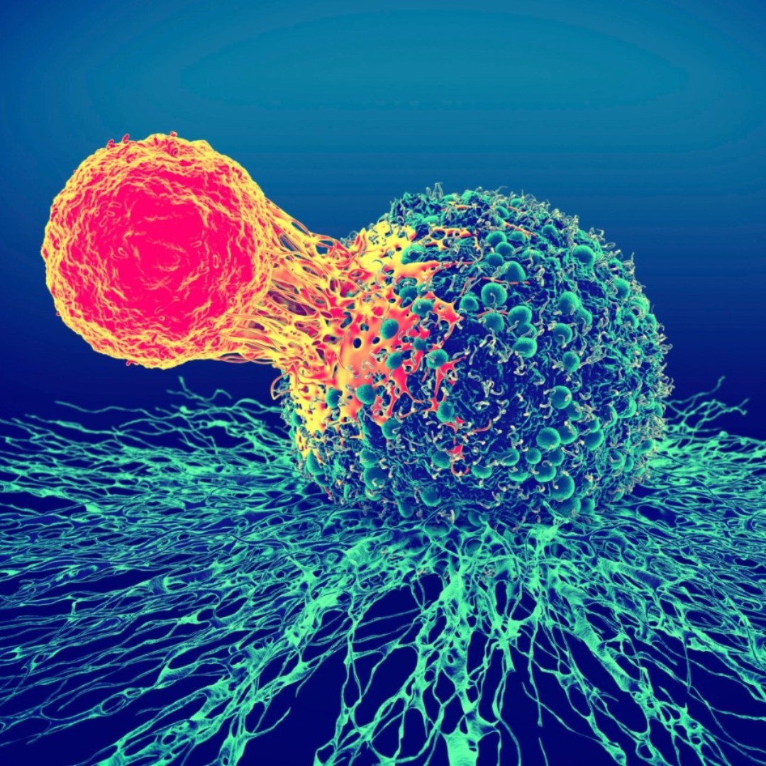 V Conferência Internacional de Atualização em Onco-Hematologia e Terapia Celular