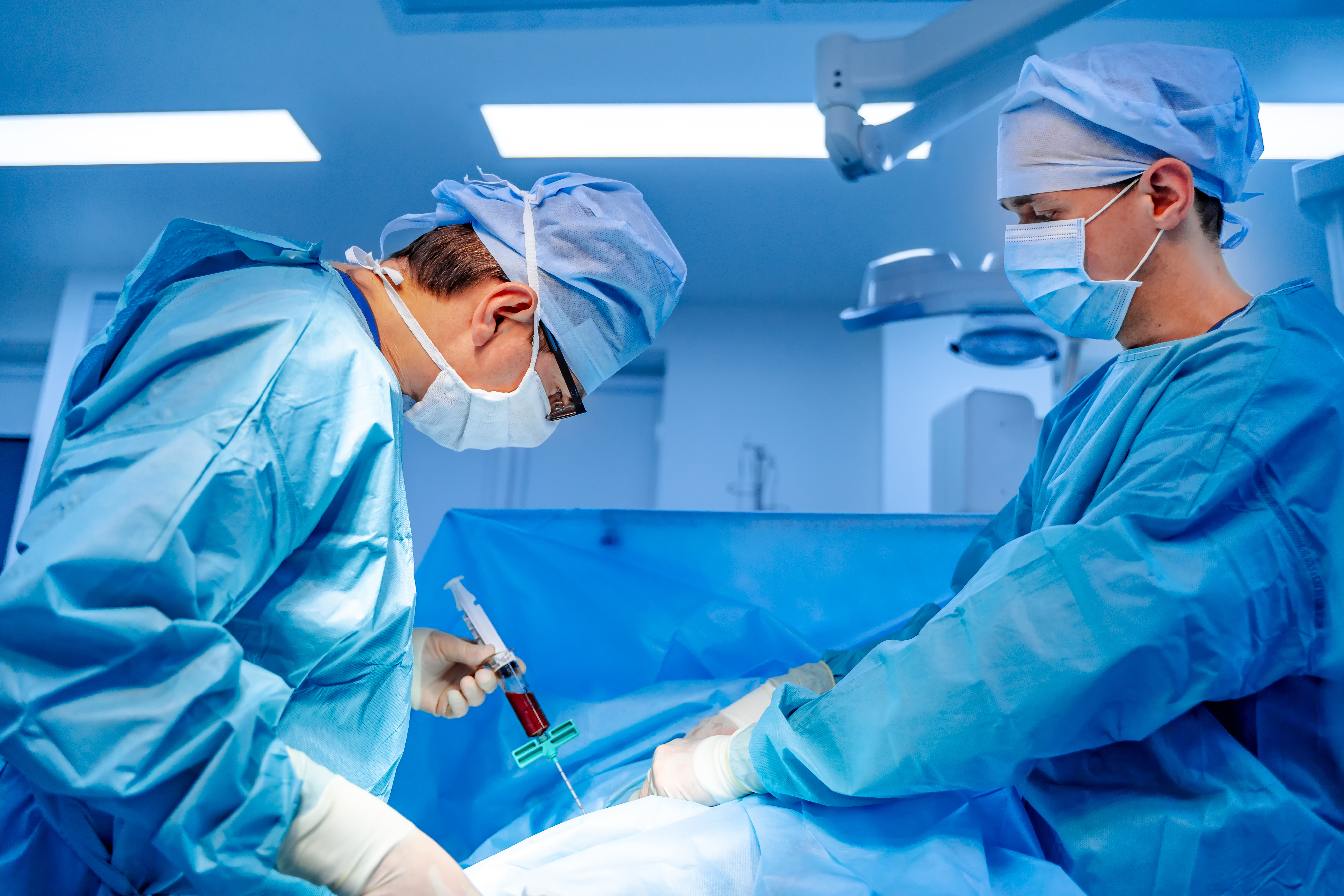 Transplante em Medula Óssea (TMO)