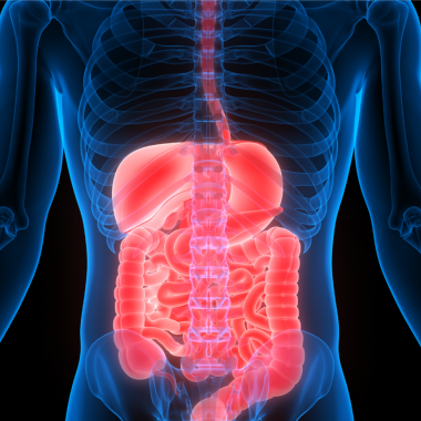 XIV Simpósio de Doenças Inflamatórias Intestinais [07/11/26]