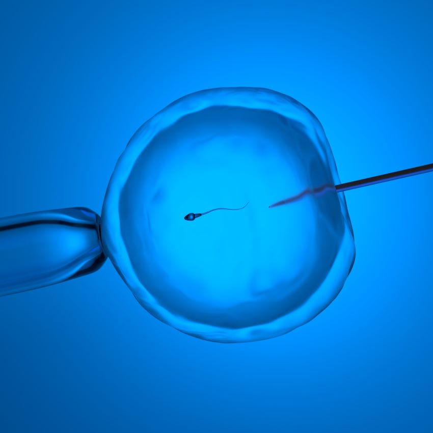 Infertilidade e Reprodução Humana Assistida - Médicos