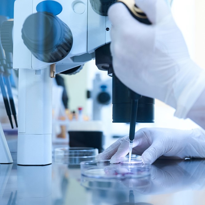 Infertilidade e Reprodução Humana Assistida - Biomédicos