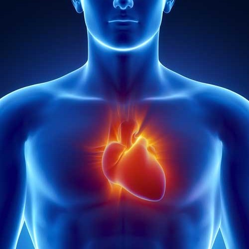 &nbsp;XIV Simpósio de Emergências Cardiovasculares [28/11/26]